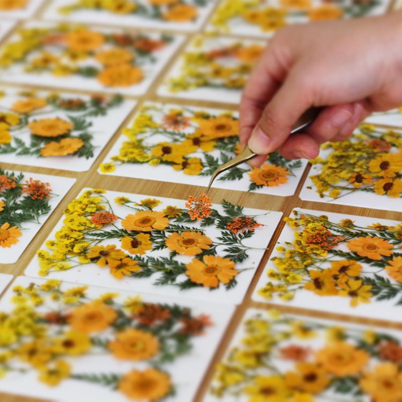 Getrocknete Blumen Echte Natür – Art Craft Flower Making Bewertung und Preis