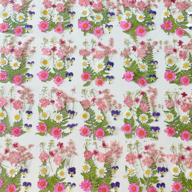 Echte Natürliche Gepresste Get – Art Craft Flower Making Bewertung und Preis