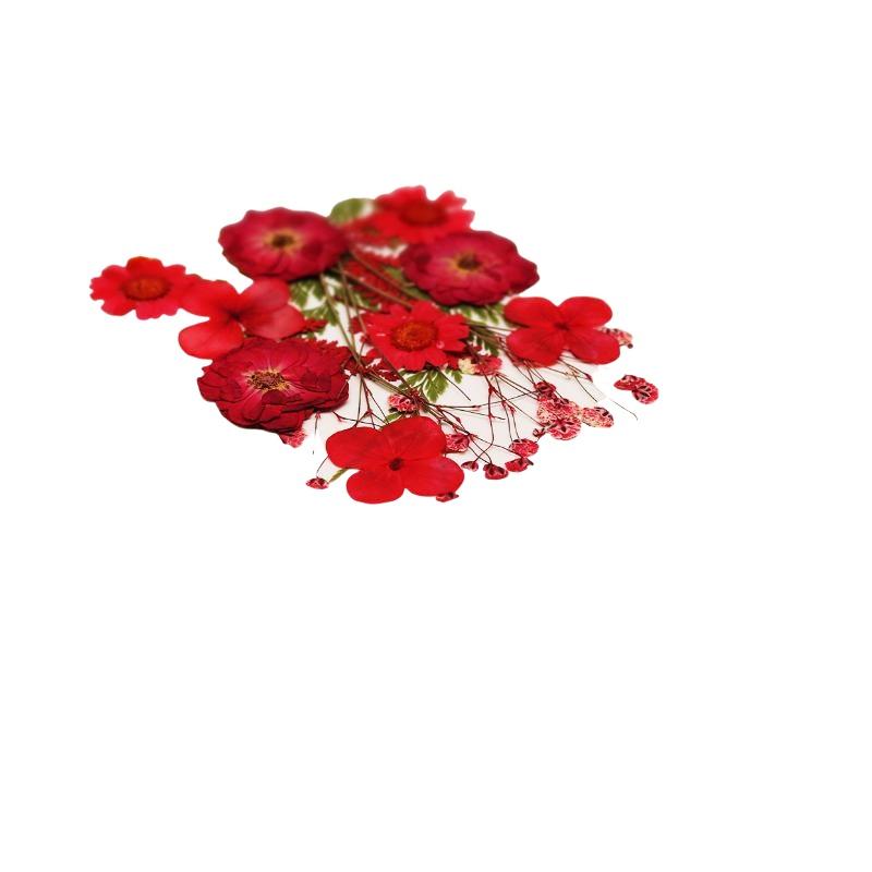 Echte Natürliche Gepresste Get – Art Craft Flower Making Bewertung und Preis
